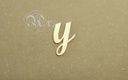 [3103305y] D.M. Laser Letra 80 Mm. y