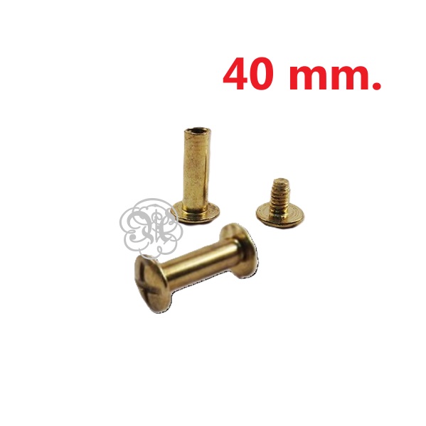 Tornillo Libro Laton 40 Mm.