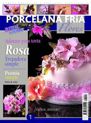 Bienv. Porcelana Flores 1