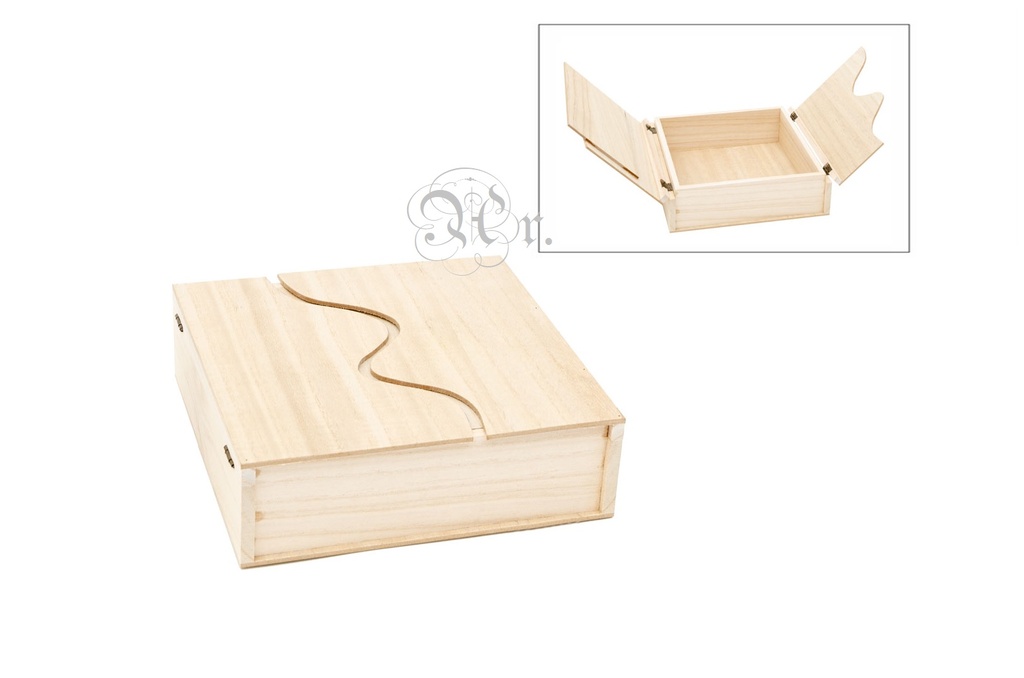 Caja Eses 568 20*20*6 Cm.