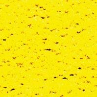 Goma Eva Toalla Amarillo