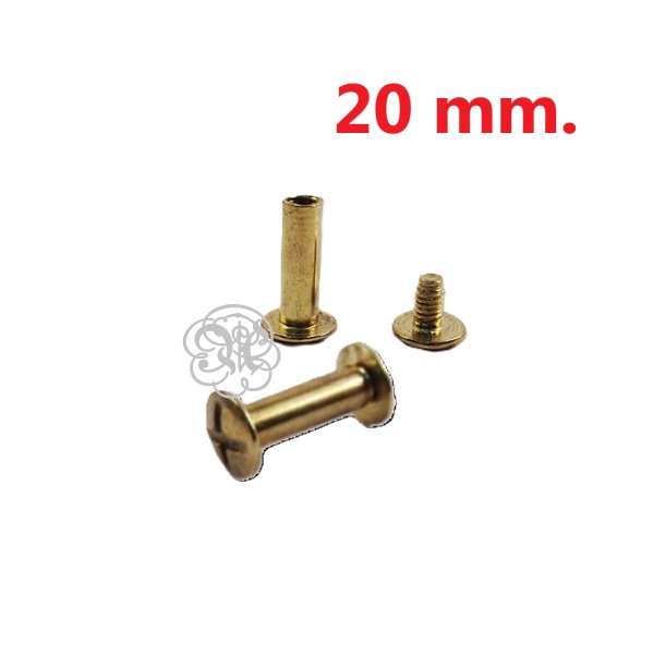 Tornillo Libro Latonado 20 Mm.