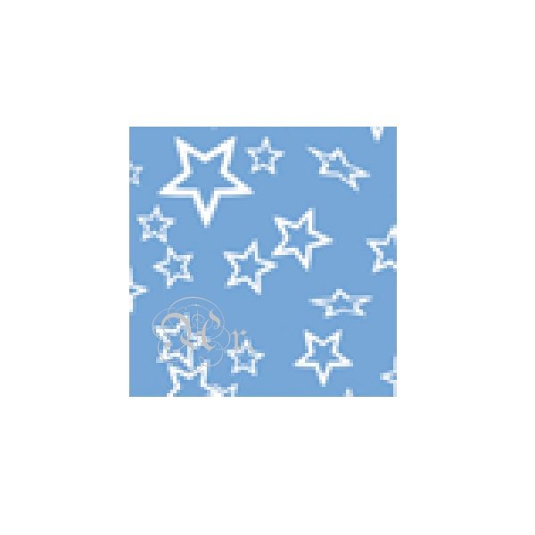 Goma Eva Estampada 33*50 Cm.