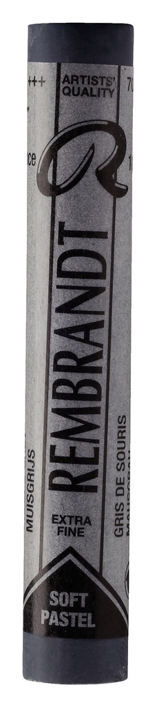 Pastel Rembrandt GRIS ARRATON 7