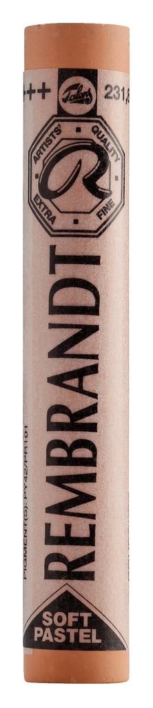 Pastel Rembrandt Ocre Oro 231.8