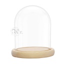 [2601312] Cupula Cristal 10*15 Cm.