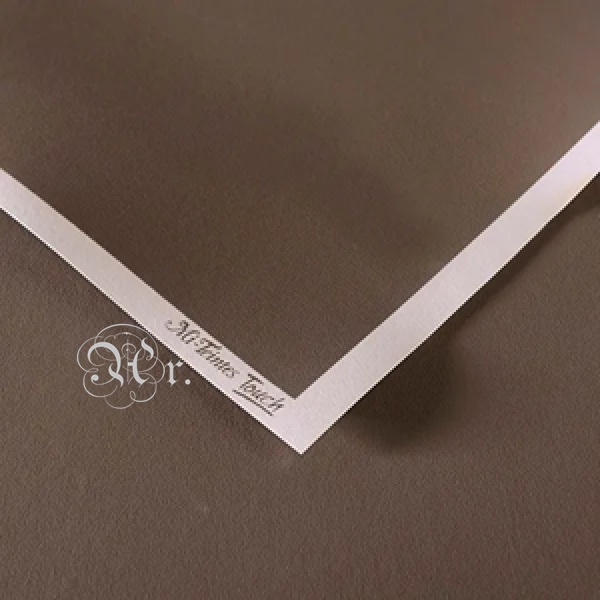 Papel Pastel Canson Touch Gris 345 65*50 Cm.