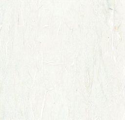 [0217020] Paper Arros 70*50 Cm. Blanc