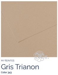 [0216343] Papel Canson Mi-Teintes 343 gris trianón