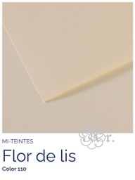 [0216110] Paper Canson Mi-Teintes 110 Flor De Lis