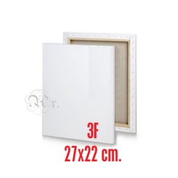 [0220010] Lienzo 3F 27*22*1.7 Cm. Tela 2