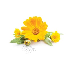 [0931163] Esencia 20 Ml. Calendula