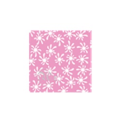 [0722421] Goma Eva Estampada 33*50 Cm.