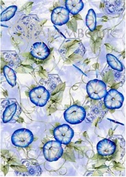 [0217627] Papel Arroz 35*50 Tcr027